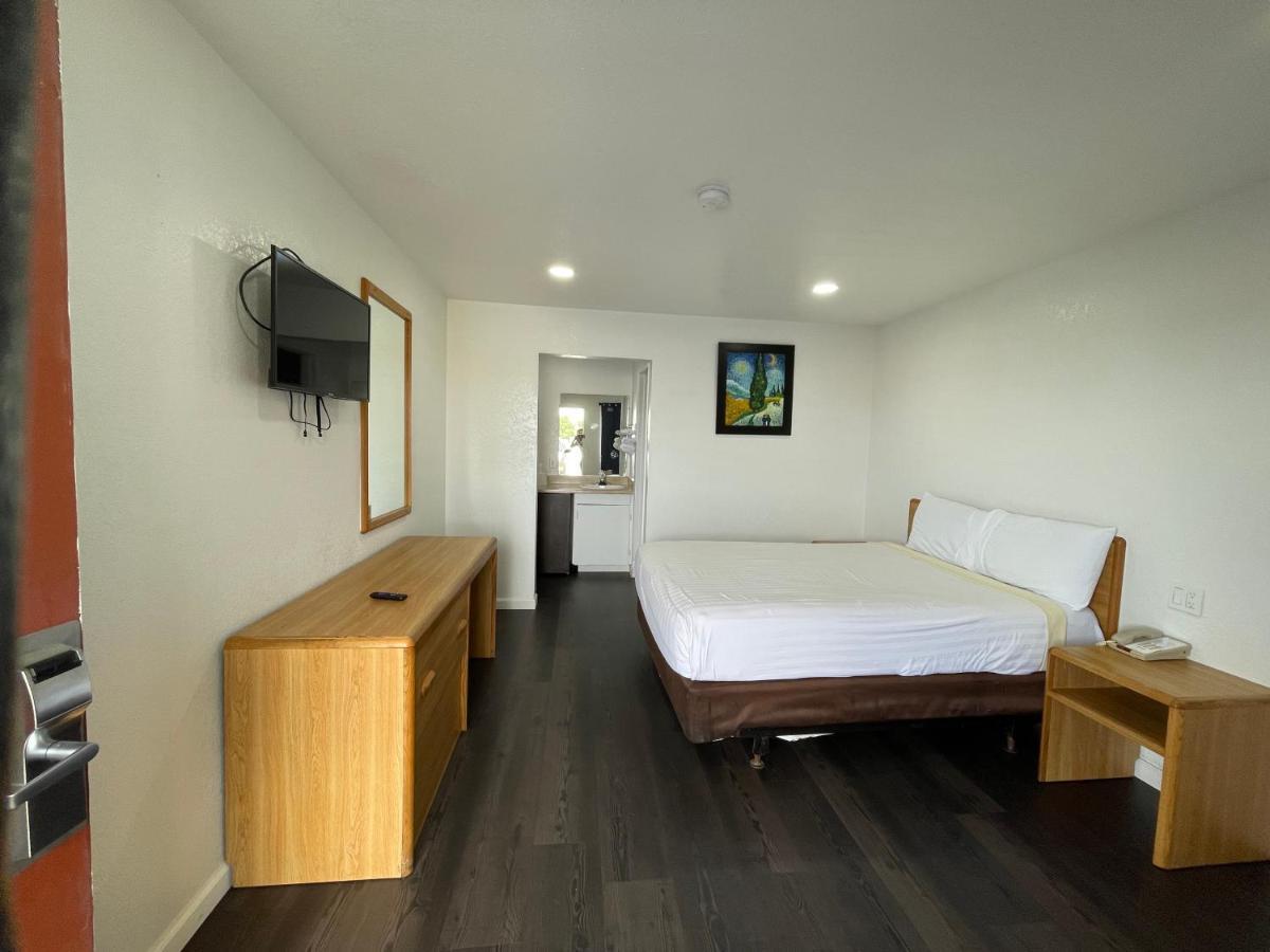 Motel Palms &