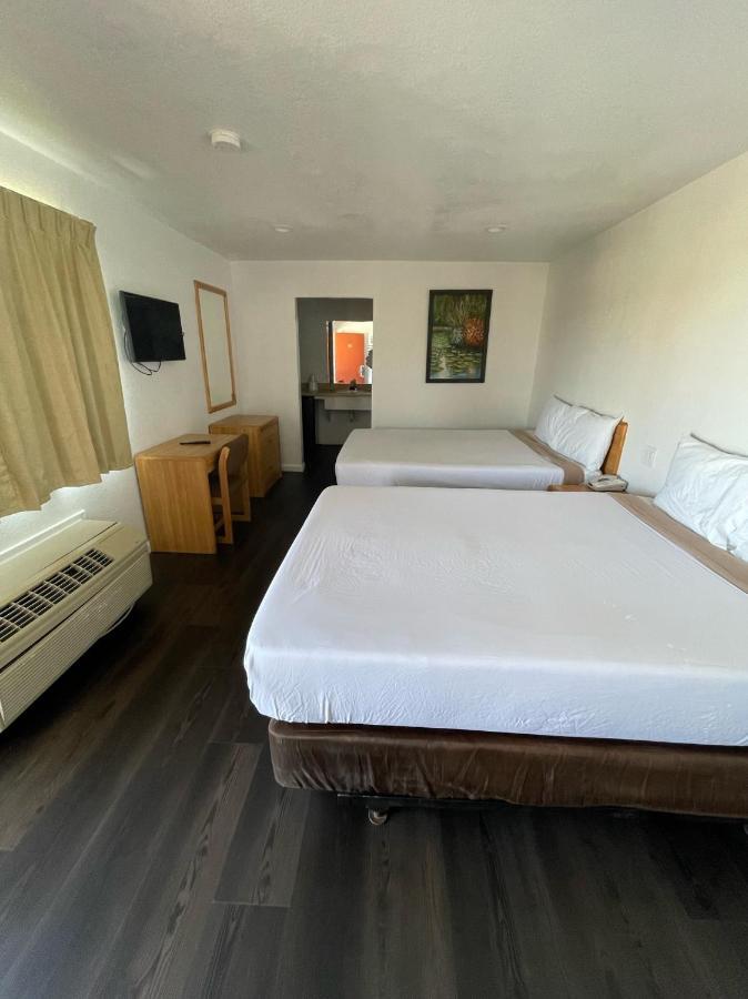 Motel Palms &