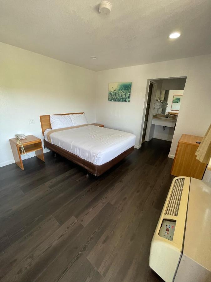 Motel Palms &