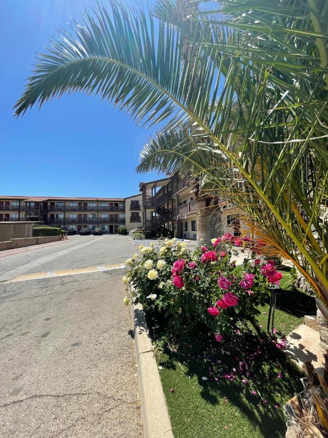 Palms & 2*